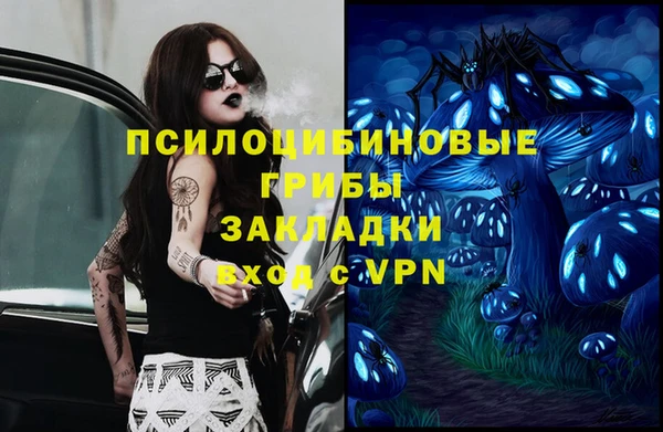 тгк Алзамай