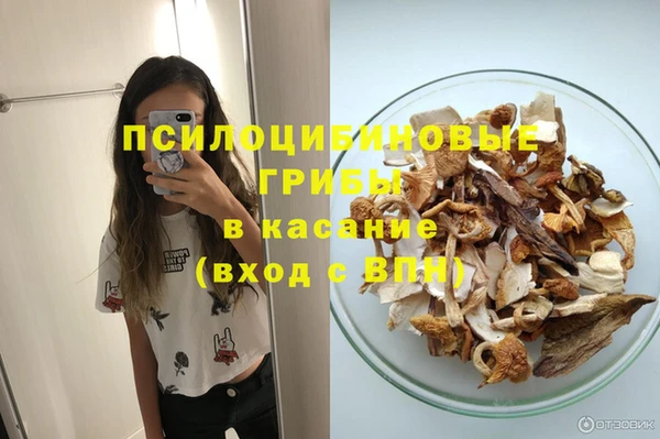 тгк Алзамай
