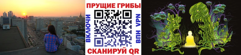 Псилоцибиновые грибы Psilocybine cubensis  купить  сайты  Петровск 